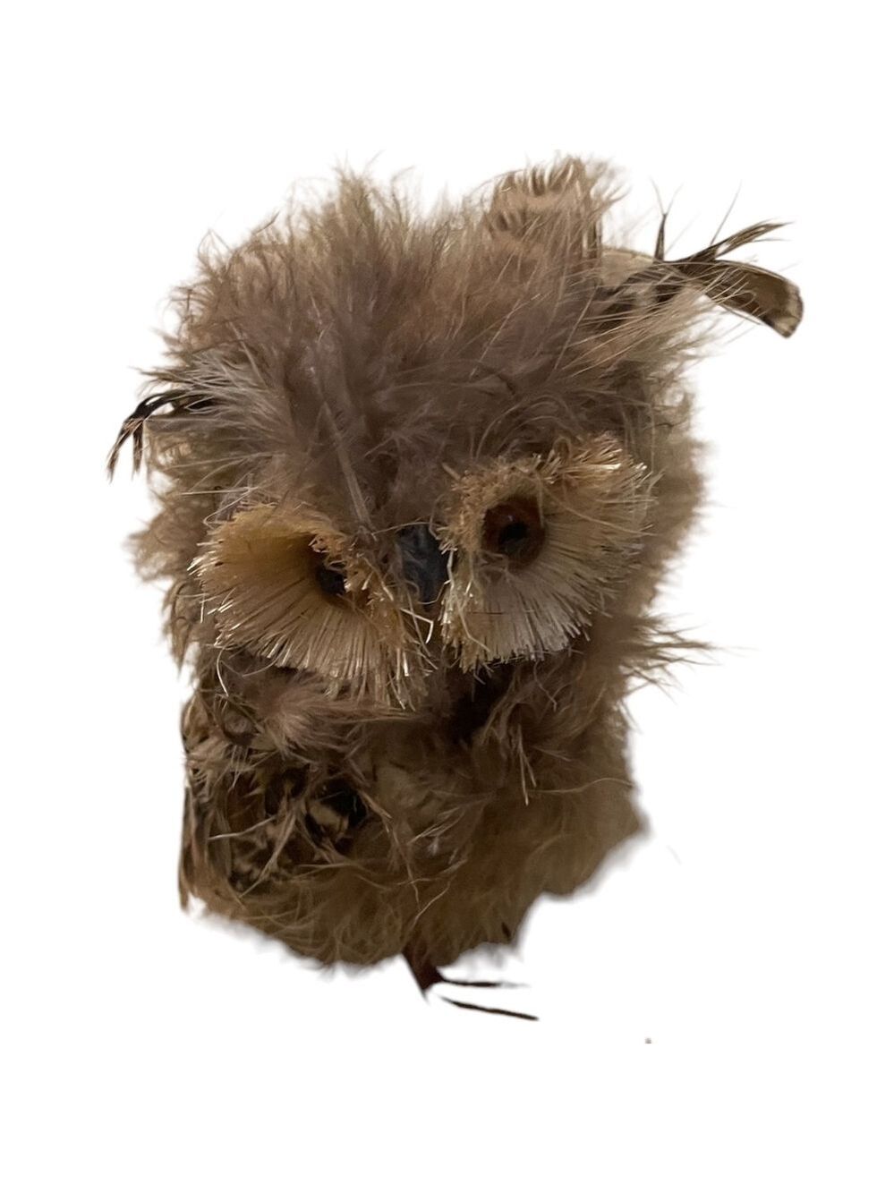 New Handmade Meravic Owl Figure With‎ Real Feathers Lifelike Décor (Set Of 9)